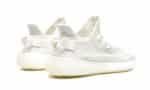 350 v2 Bone - Image 3